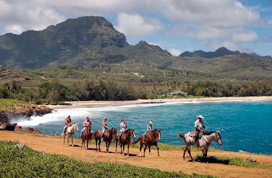 Best horseback riding outfit on Kauai.  What a beautiful ride on well-behaved ho