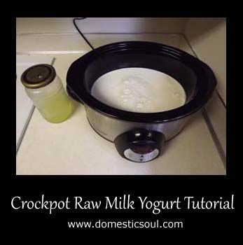 Crockpot Raw Milk Yogurt Tutorial. Step-by-step instructions for making raw milk