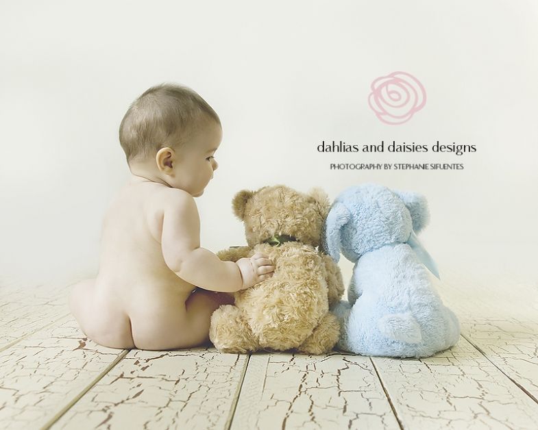 Dallas Baby Photographer  6 month old with teddy bears