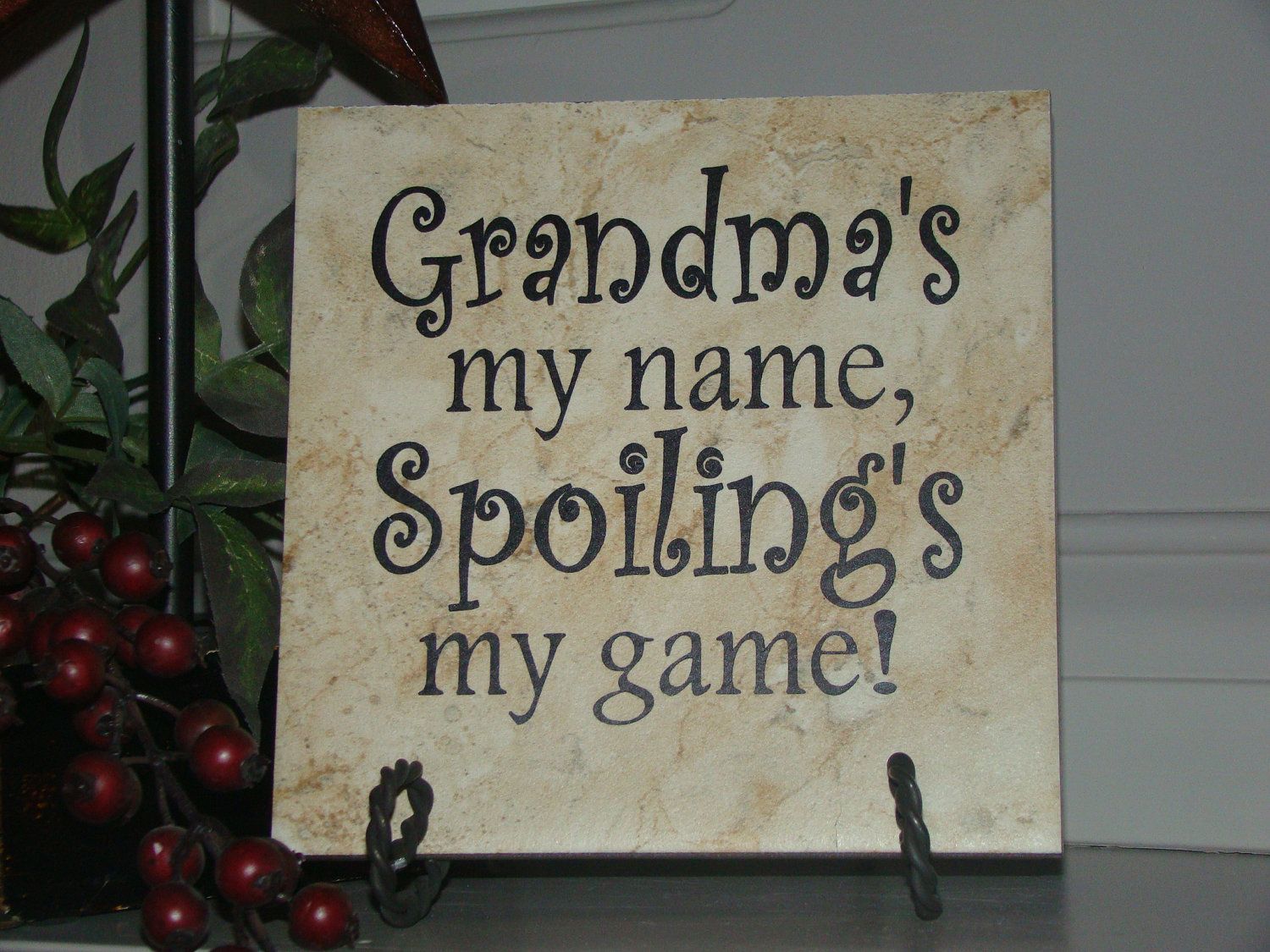 Grandmas My Name, Spoilings My Game…Mothers Day or Birthday Gift for Grandma o