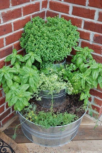 Herb Garden. Love this idea!
