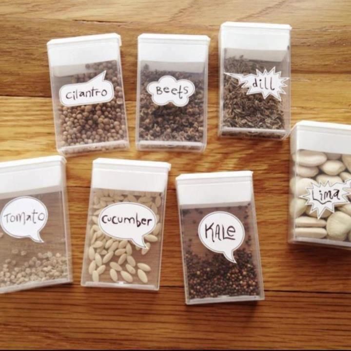 Heres a really cute gardening idea: tic-tac boxes for seed organization.