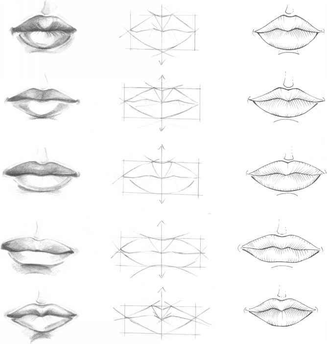how to draw lips step by step with pencil | frontal view quarters view analysis