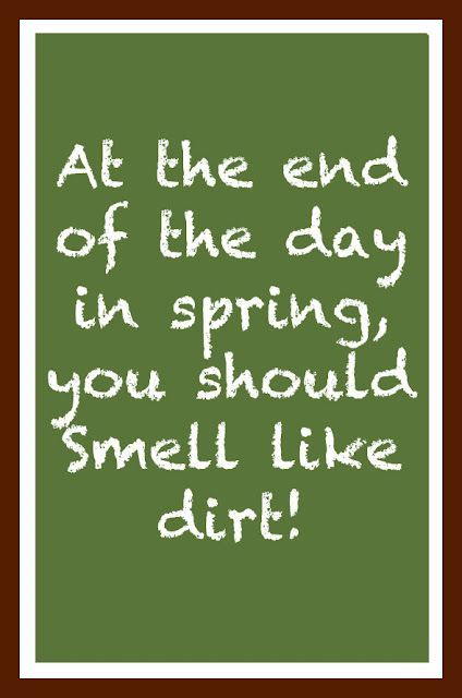 I am so pining for spring!  Cant wait to get my hands in the dirt again.  Oh, to