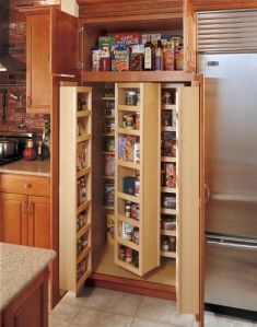 I want to tear out the traditional pantry and put in one of these when we do the