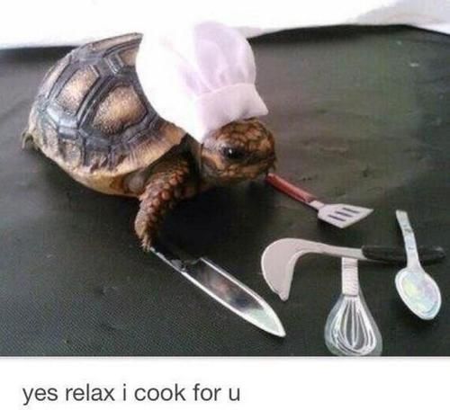 Tiny Turtle Chef. In case youre having a bad day. @Ashleigh {bee in our bonnet}