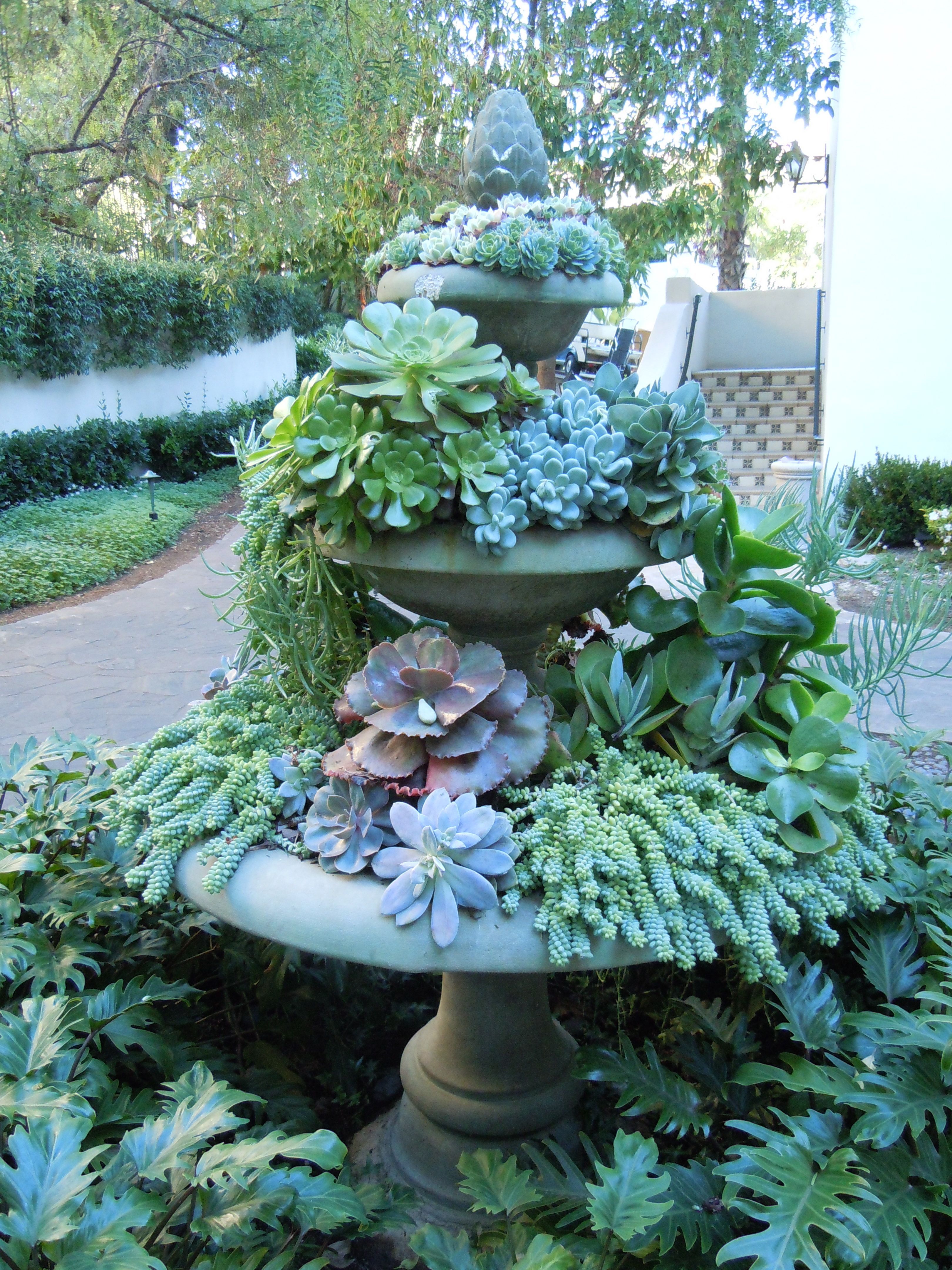Very cool, though I dont think Id want succulents.    “succulent “fountain” imit