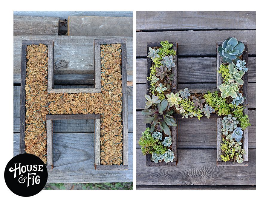 Wall-mounted Succulent Letter DIY
