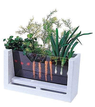 Watch your veggies grow!  (A great way to teach kids how vegetables grow).