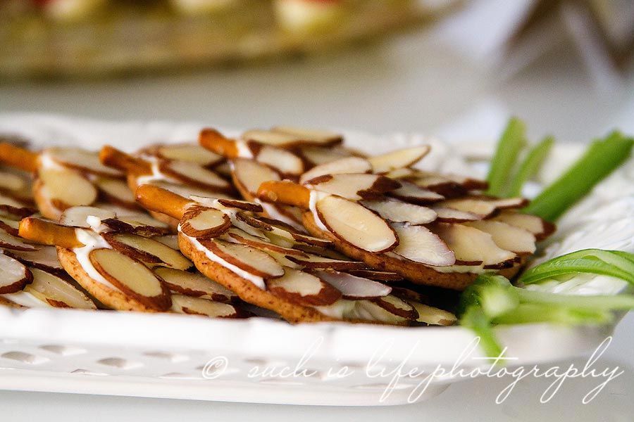 Woodland Party.  crackers spread slivered almond “pine cones”
