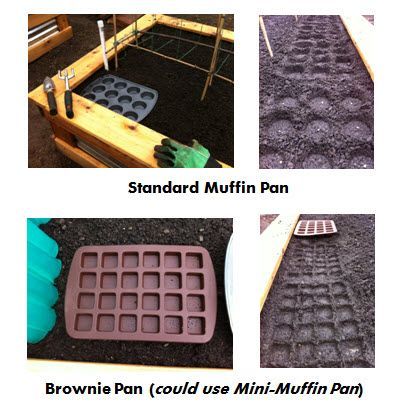 Brilliant – square foot gardening templates using muffin tins – Very clever inde