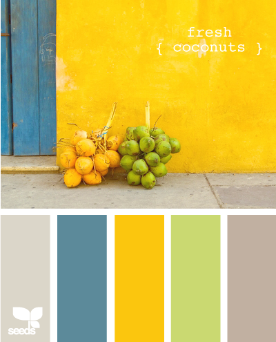 Color palette for kitchen–walls  light dusky turquoise (?), table yellow, barri