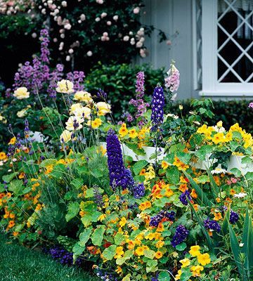 Cottage-style front-yard planting along a low fence, Better Homes and Gardens.