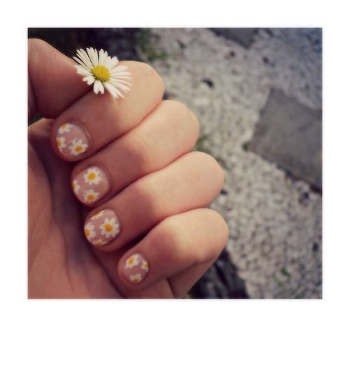 Ox eye daisy nail design: three color colour art: soft pink (or beige) base, whi