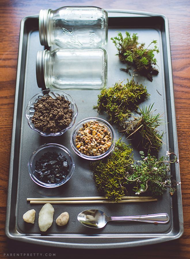 DIY Terrarium – Doin it today! :) So excited. Just gathered moss for these!