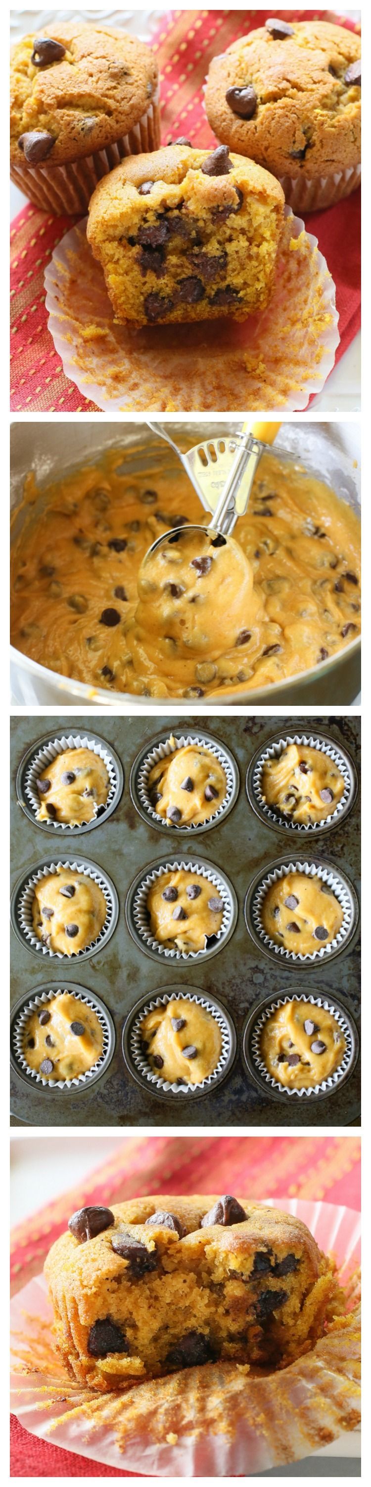 Pumpkin Chocolate Chip Muffins – perfectly moist muffins full of pumpkin flavor