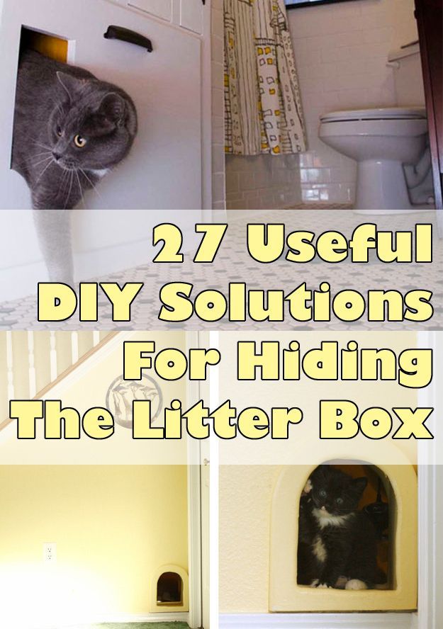27 Useful DIY Solutions For Hiding The Litter Box – BuzzFeed Mobile