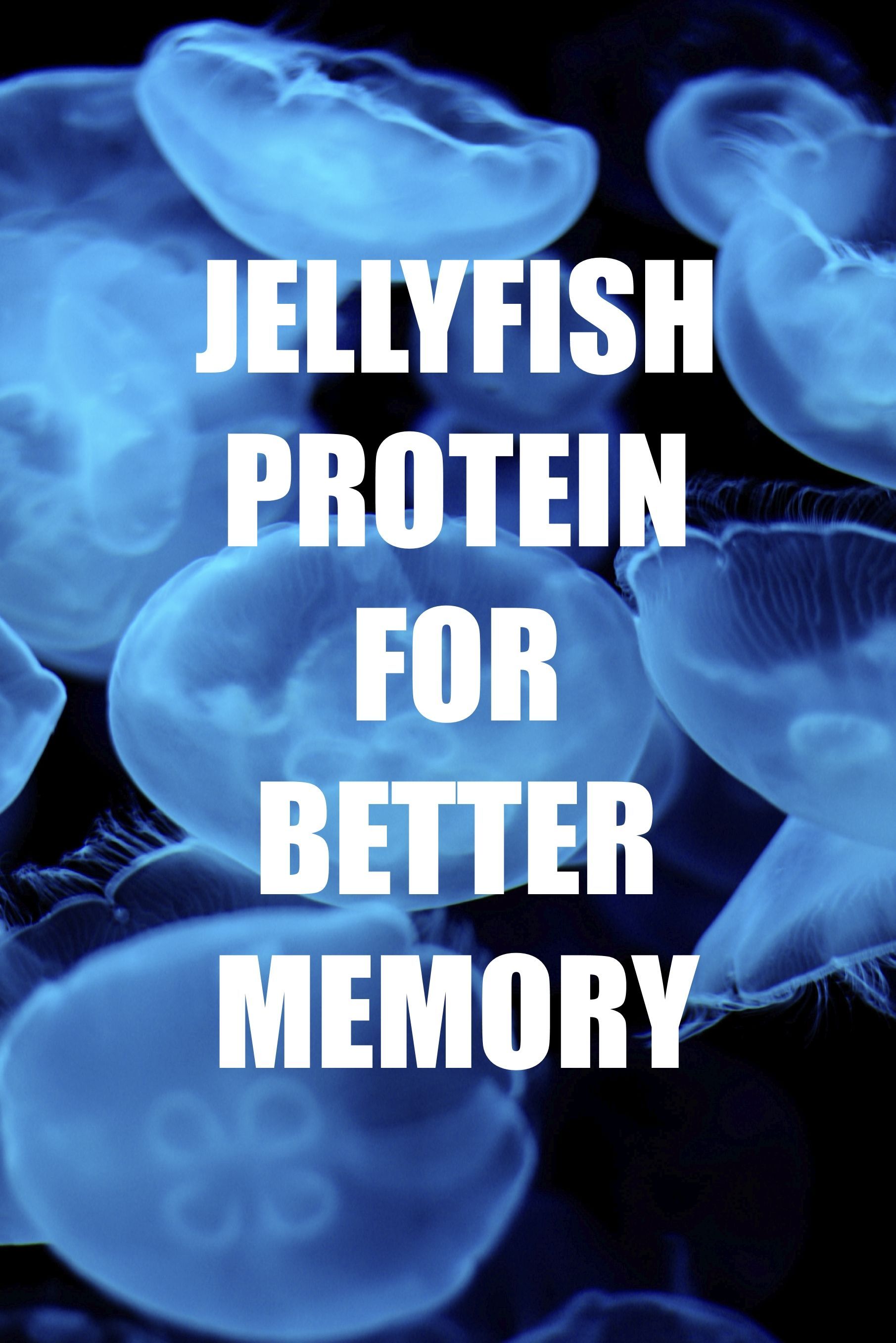 Can a protein from a jellyfish improve your memory? Scientists say YES. Discover