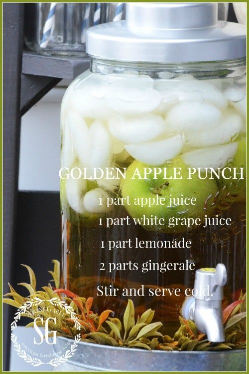 Golden Apple Punch recipe    FALL DRINK BAR