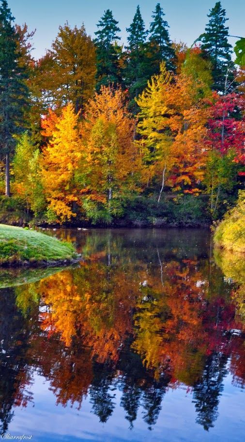Gorgeous Fall Colors | Fall Reflections