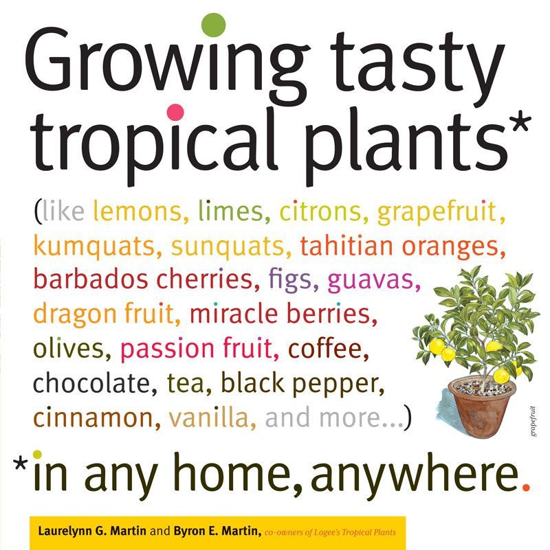 “Growing Tasty Tropical Plants” covers 47 varieties of fruiting plantsfrom choco
