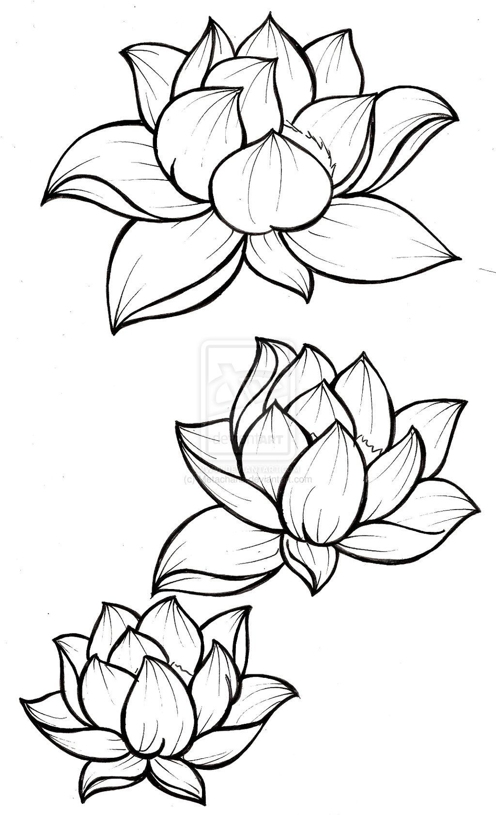 Lotus Blossom Tattoo by ~Metacharis on deviantART