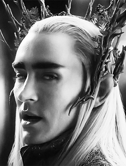 Thranduil, and all his elven-king glory. Lee Pace! I lived in his vicinity at on