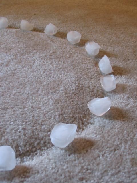 To remove furniture dents in the carpet, place ice cubes on the dents, let it si