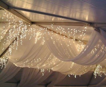 Winter wonderland themed wedding.  LOVE the lights and sheer fabric.