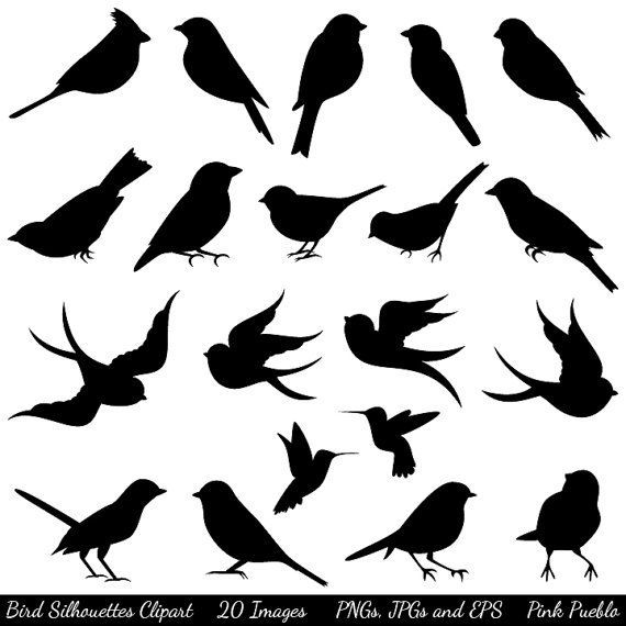 Bird Silhouettes Clip Art Clipart, Bird Clip Art Clipart – Commercial and Person