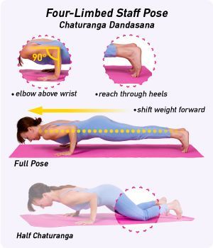 Chaturanga Dandasana (chah-tuur-ANGH-uh dahn-DAHS-uh-nuh) – Four-Limbed Staff Po