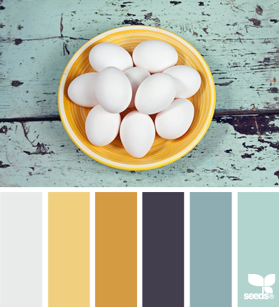 color fresh: egg white, butter yellow, marigold, navy purple, faded blue, robins