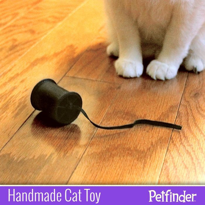 Construct a #HomemadeToy for your cat! You can make a rolling mouse with a threa