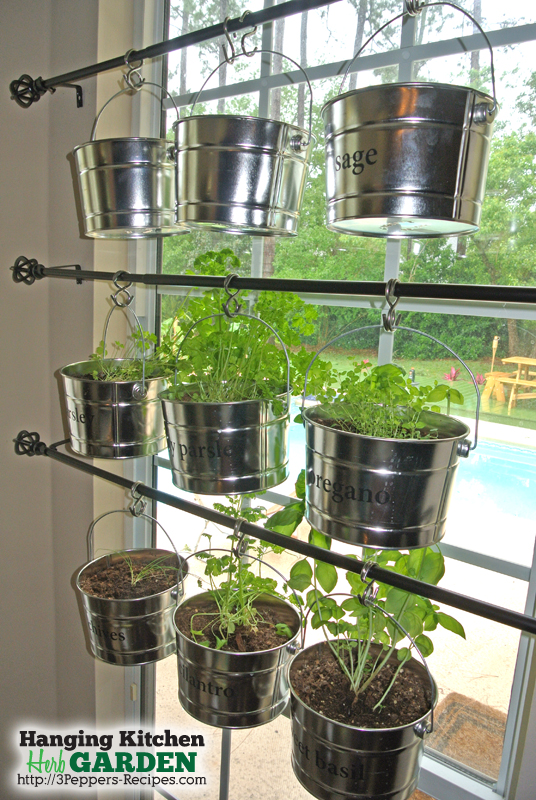 Grow an organized herb garden in your kitchen, without using up precious counter