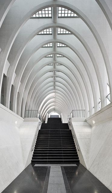 Santiago Calatrava Lige Guillemins TGV Station Lige, Belgium, photo by Michal Ja