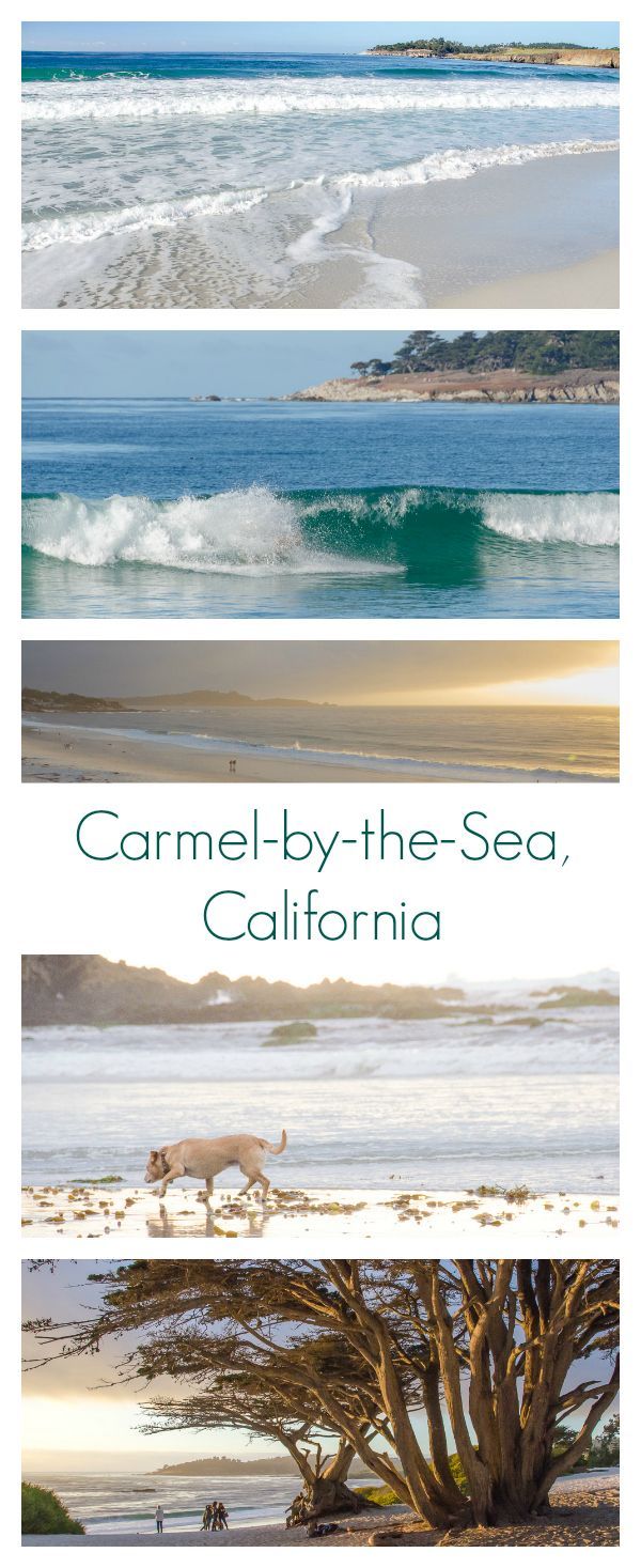 The beautiful white sand beaches in Carmel-by-the-Sea, California make a fun sto