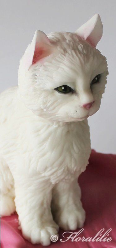 The cat is made from modeled rice cereal treats and covered in white chocolate g