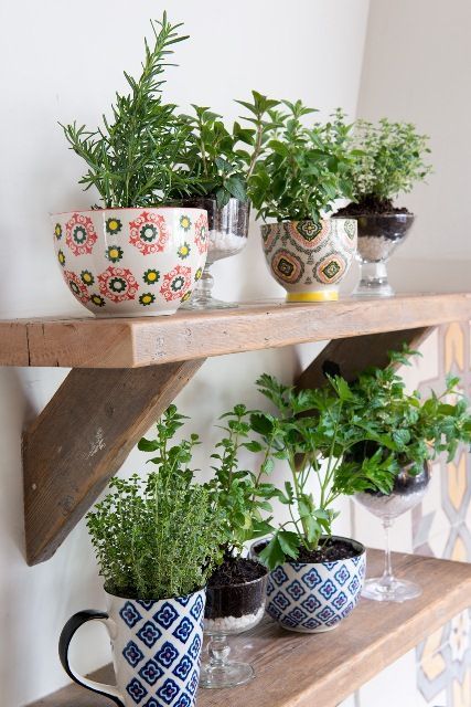 Use cocktail glasses and mugs for a stylish way to grow your herbs! #HomeGoodsHa