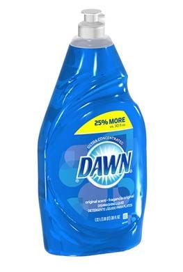 You had me at ants…..blue dawn dish liquid does some amazing things…like…G