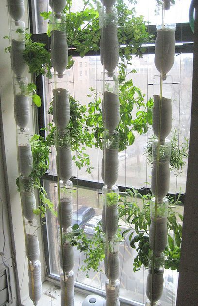 12 Edible Gardening Hacks: Delectable Edibles You Can Grow Indoors! – Garden The