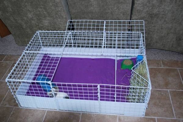 diy guinea pig cage– This one seem