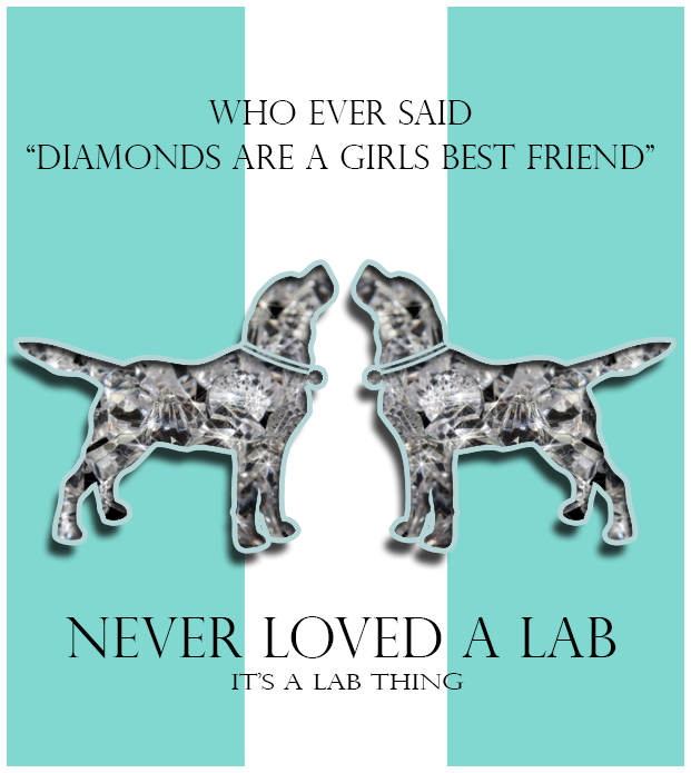 Labs & Ladies: Diamonds with Fur | Its a Lab Thing