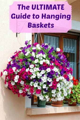 The Ultimate Guide to Hanging Baskets….. this is the best site. Tons of inform