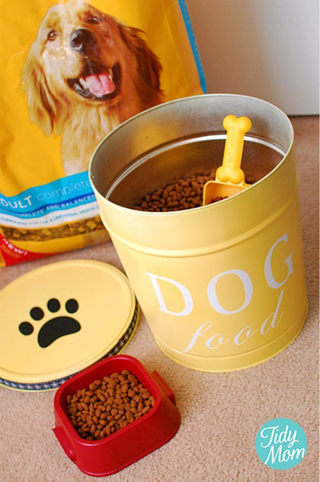 Upcycled Pet Food Canister. not sure what this container is….but im thinking i