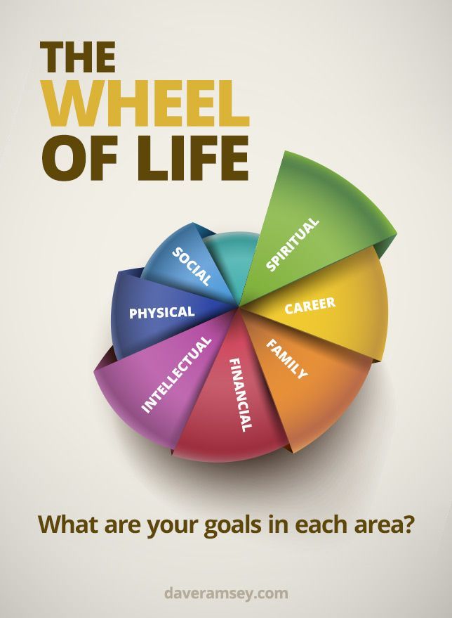 Zig Ziglars The Wheel of Life. When setting goals, make sure you include these a