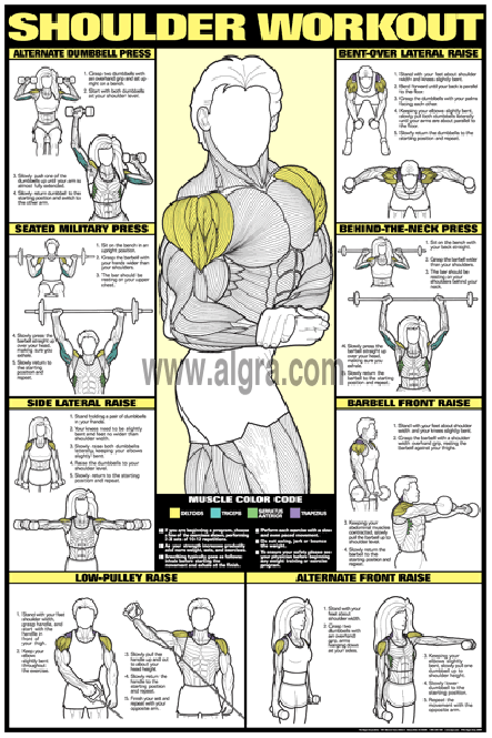 Bruce Algras Shoulder Workout Poste