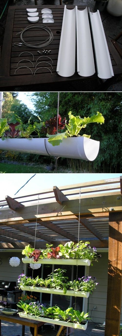 DIY Outdoor Vertical Garden