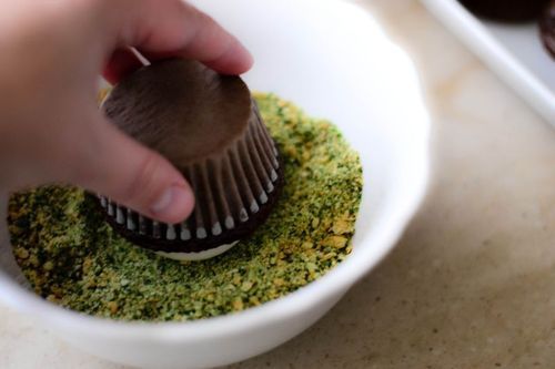 Edible moss….graham crackers and