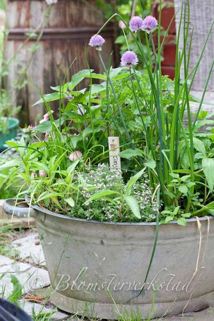 Herb garden/container garden using