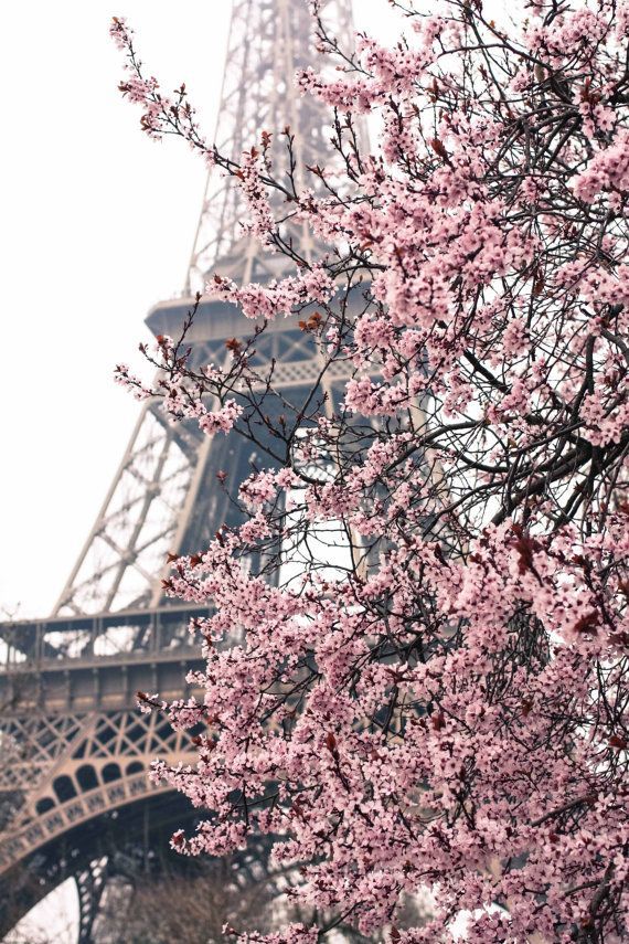 Paris Photography – Paris Je taime